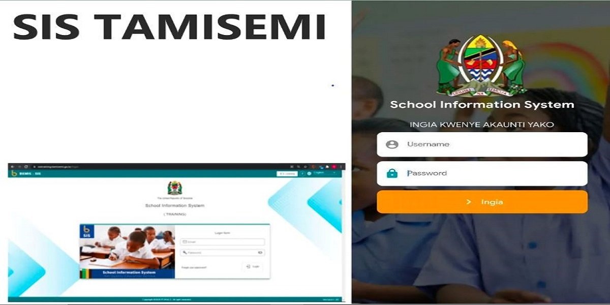 Sis training.tamisemi.go.tz: How to Login?